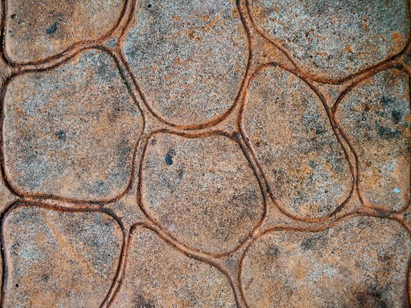 Cost of Concrete Stamping in Hayden