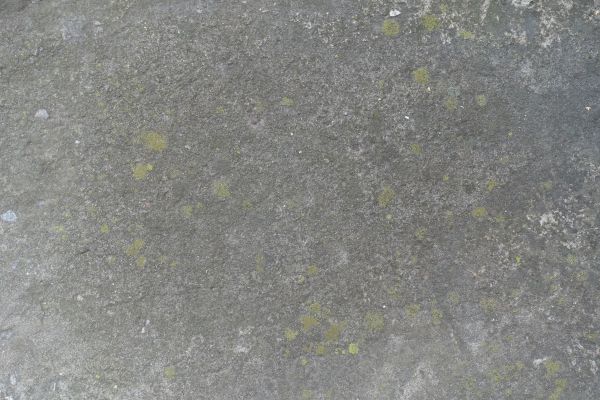Cost of Slab Staining Service in Hayden